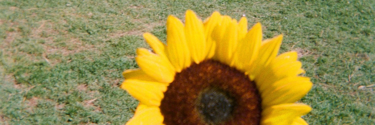 literallyimcute's profile banner image