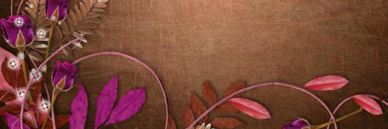 passionfortweet's profile banner image
