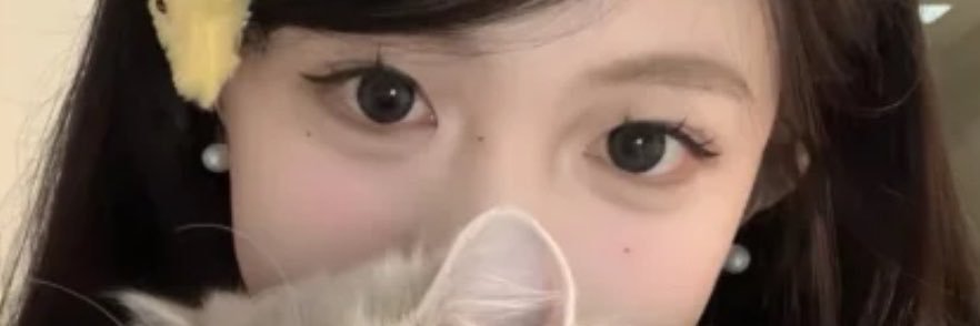 JavaAlz's profile banner image