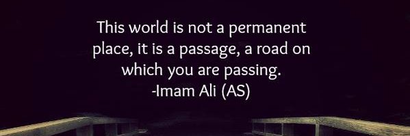 Midhat Ali Zaidi banner