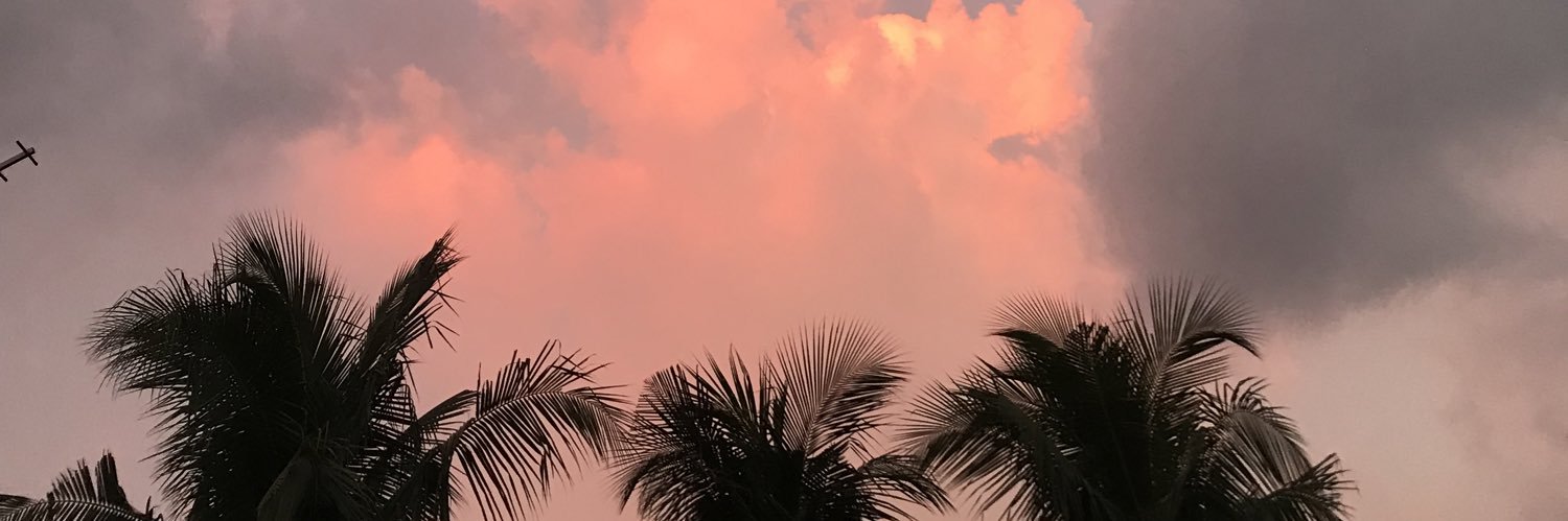 Imel banner