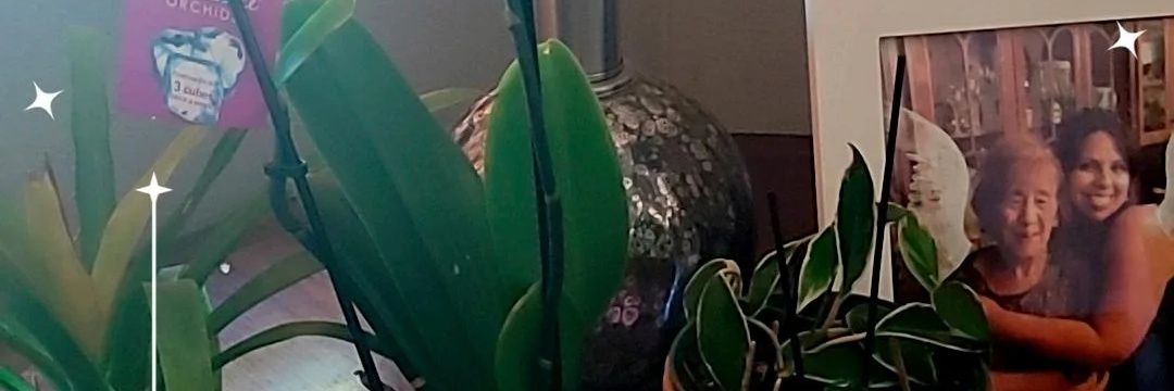 vallicat77's profile banner image