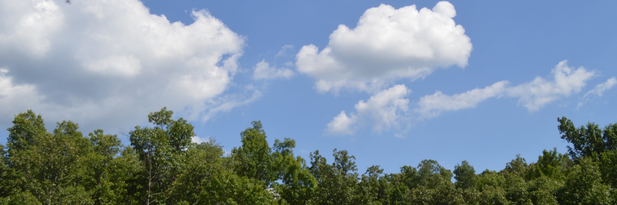 colliemom5's profile banner image