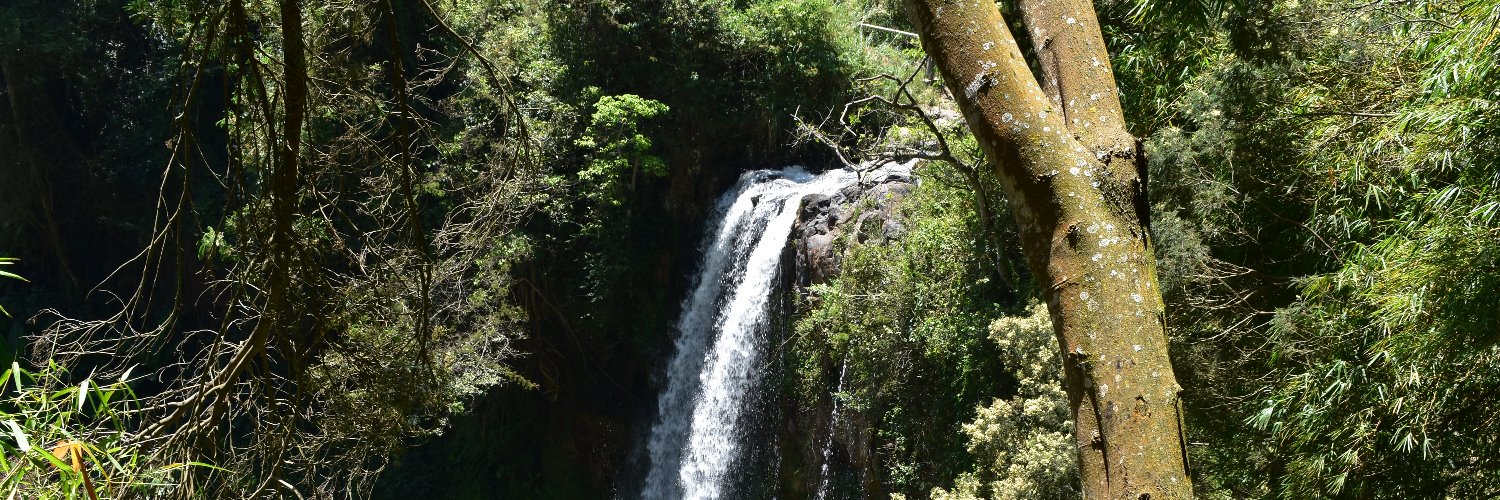 ICEkenyaorg's profile banner image