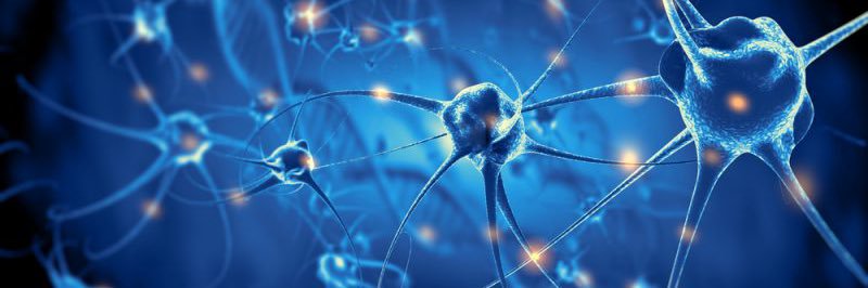 Edith Rodríguez Cachera banner