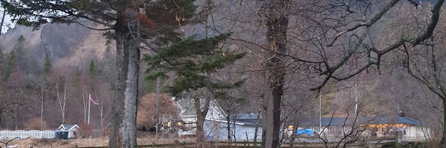 oyvind_sandvold's profile banner image