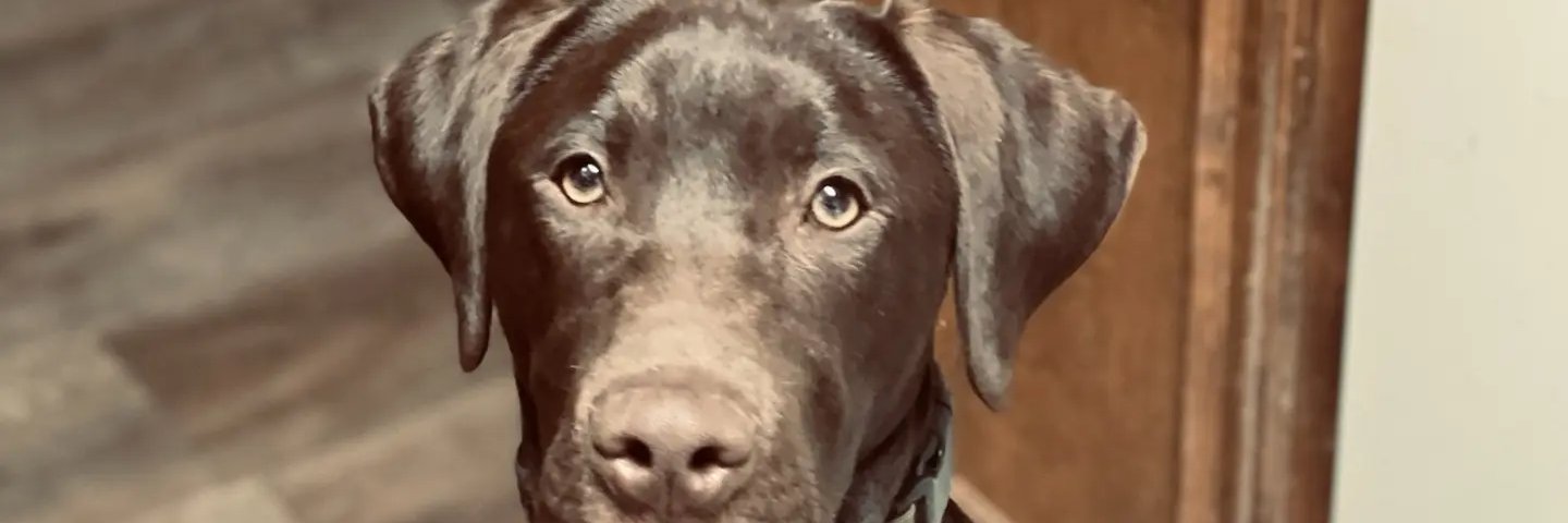 barger0228's profile banner image