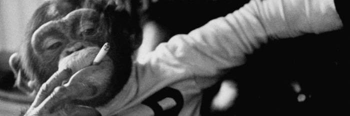 quigonbinladen's profile banner image