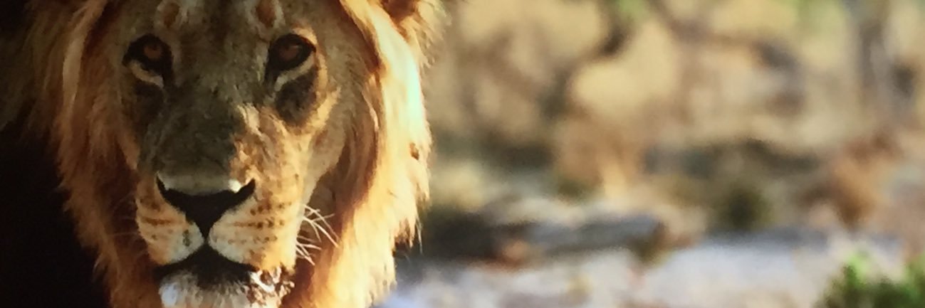 enkhtur's profile banner image