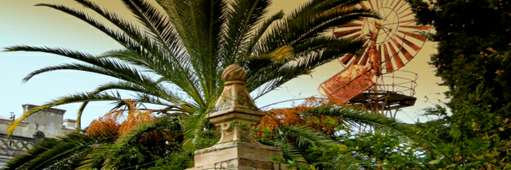 miguelrocafort's profile banner image
