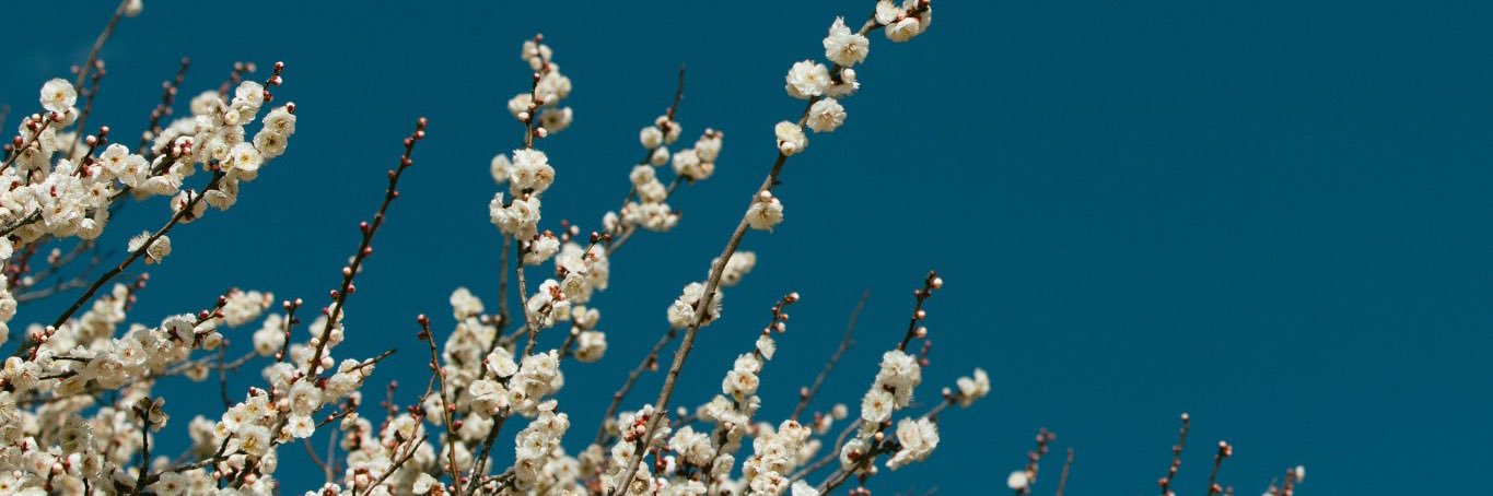 rrri_719's profile banner image