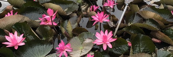 hyang4u Profile Banner