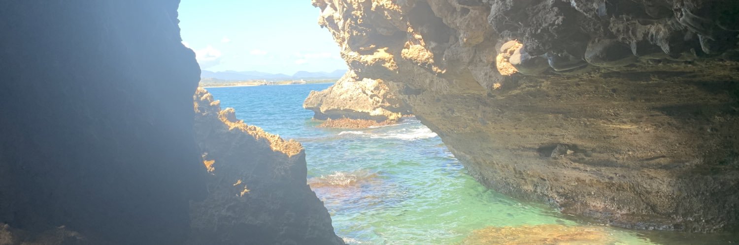 rhoineyd's profile banner image