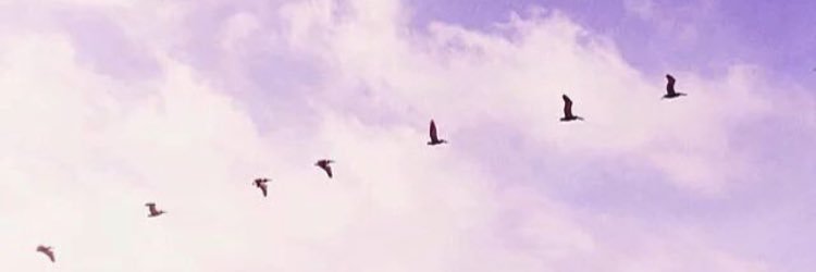 Afnann2's profile banner image