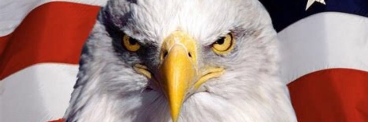 PatriotNP's profile banner image