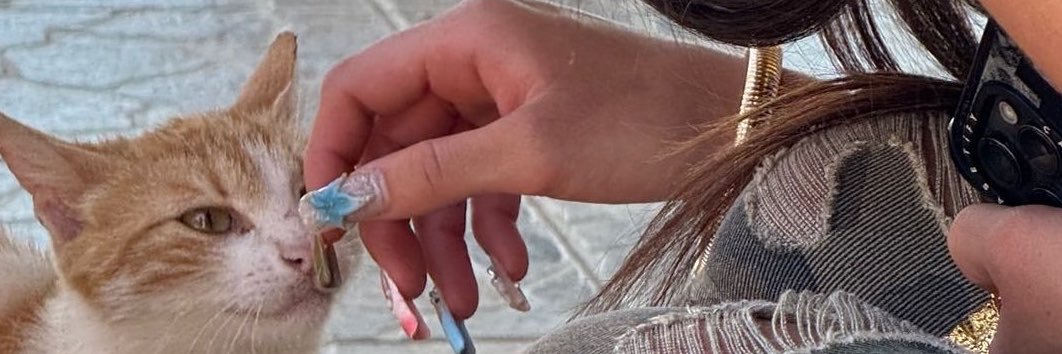 x_aynah's profile banner image