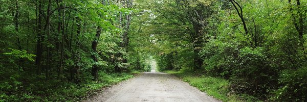 _AngelinaMV Profile Banner