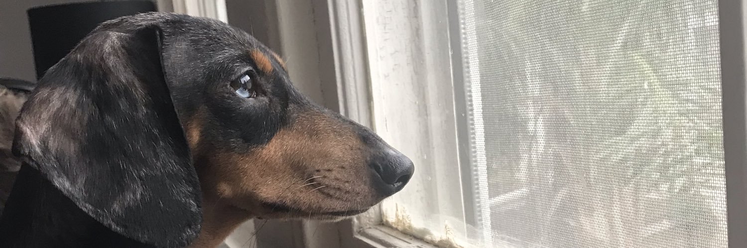 LukeDanielsss's profile banner image