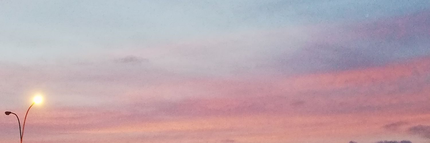 gringuinha18's profile banner image
