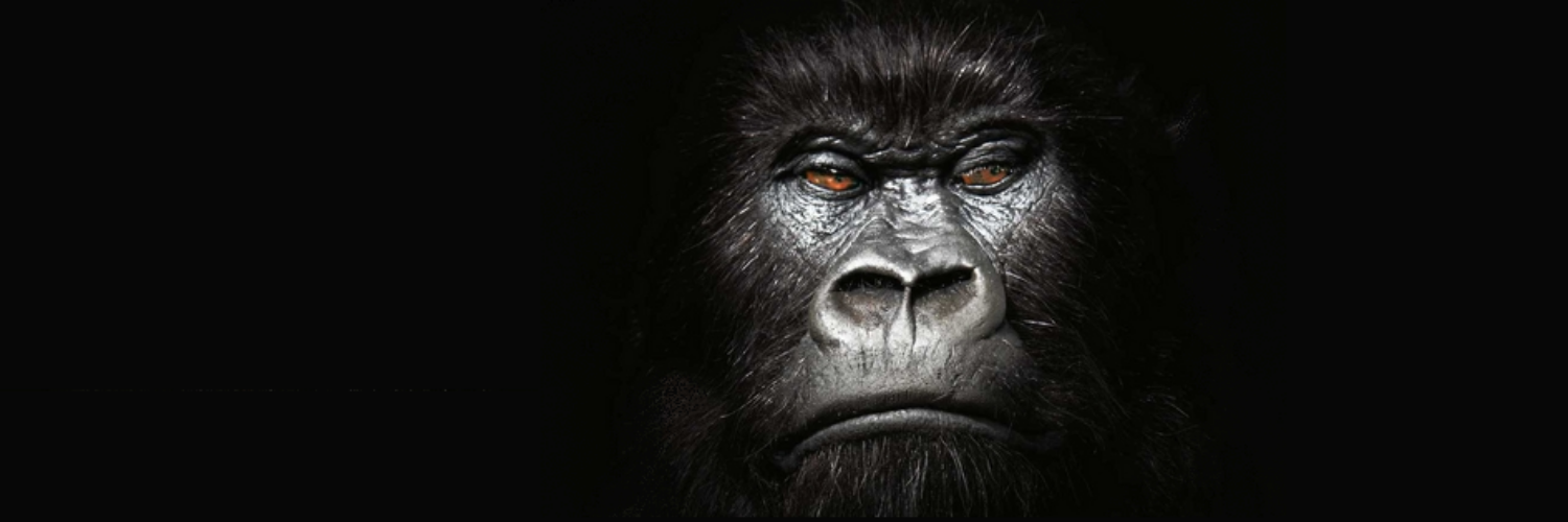 AlphaInstinct's profile banner image