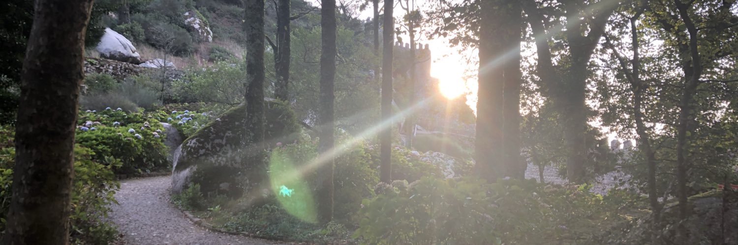 drmagedhussein's profile banner image