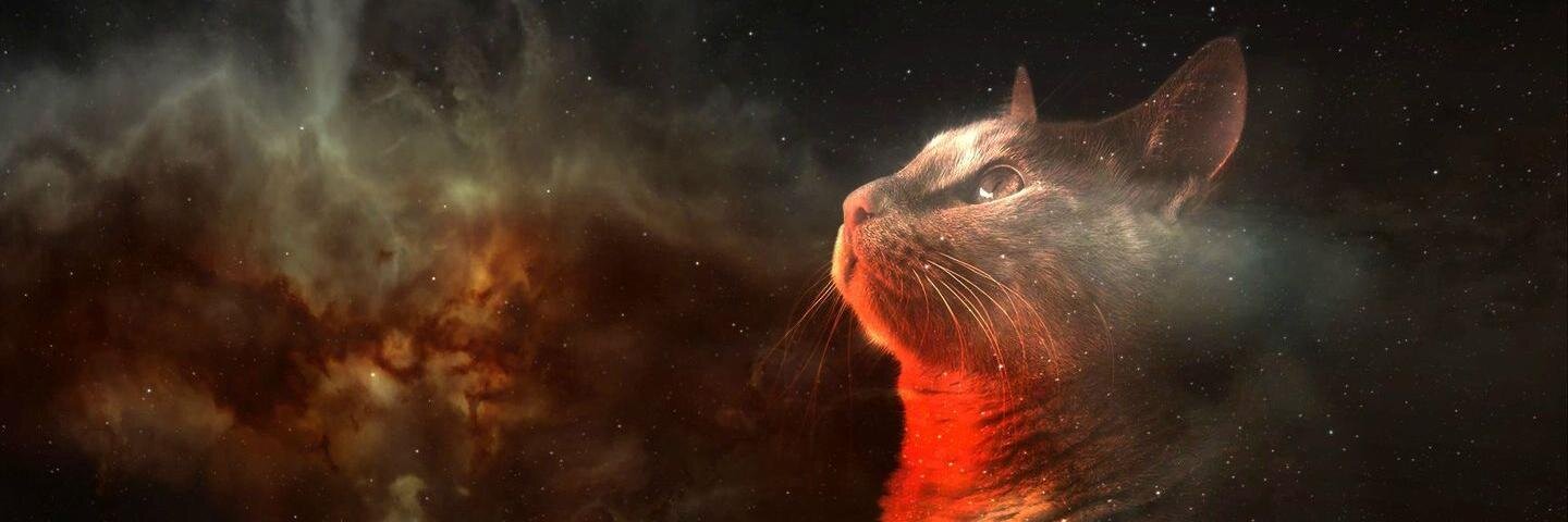 StartDublin's profile banner image