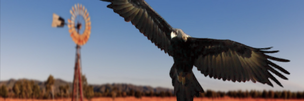 CountryEagles Profile Banner