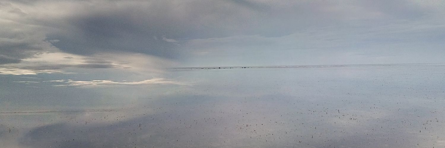 ericocarl's profile banner image