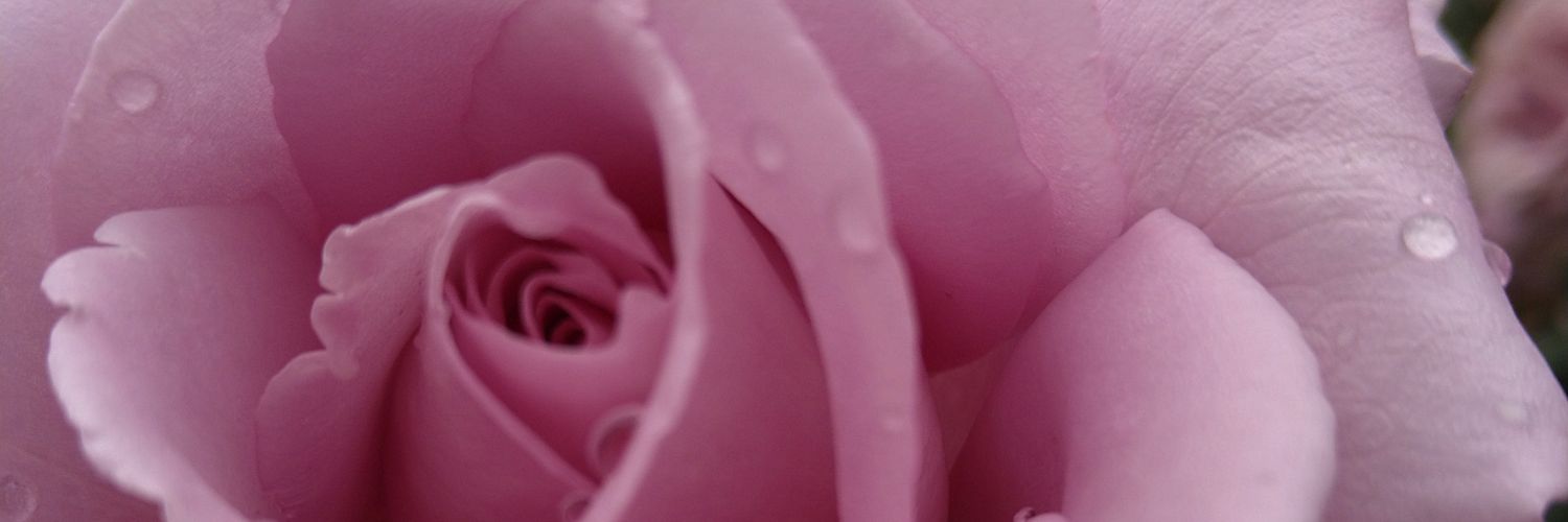 cocoa_v6's profile banner image