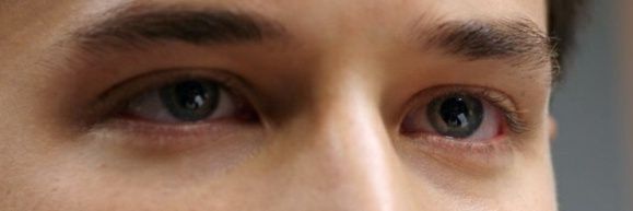Testudownist's profile banner image