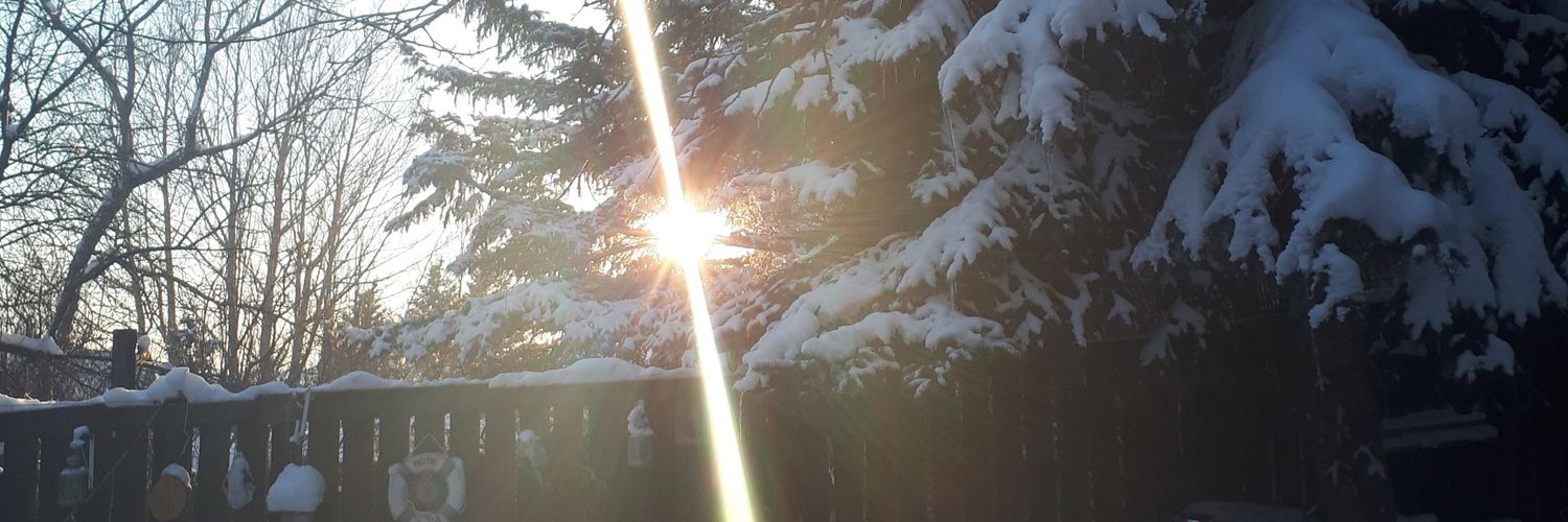 SydneyGreentree's profile banner image