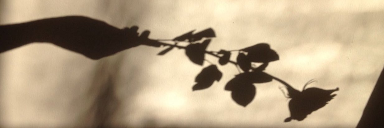 unstephable_'s profile banner image
