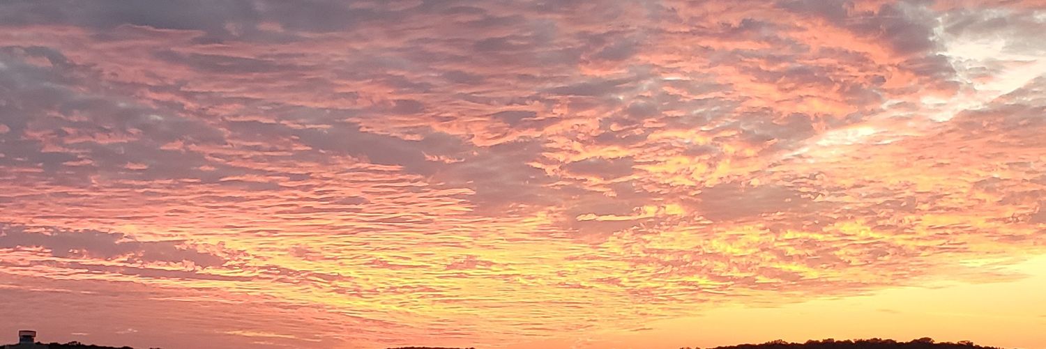 Meidas Michelle banner