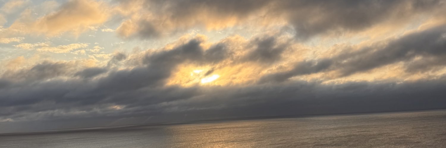 tall shit🦂's banner