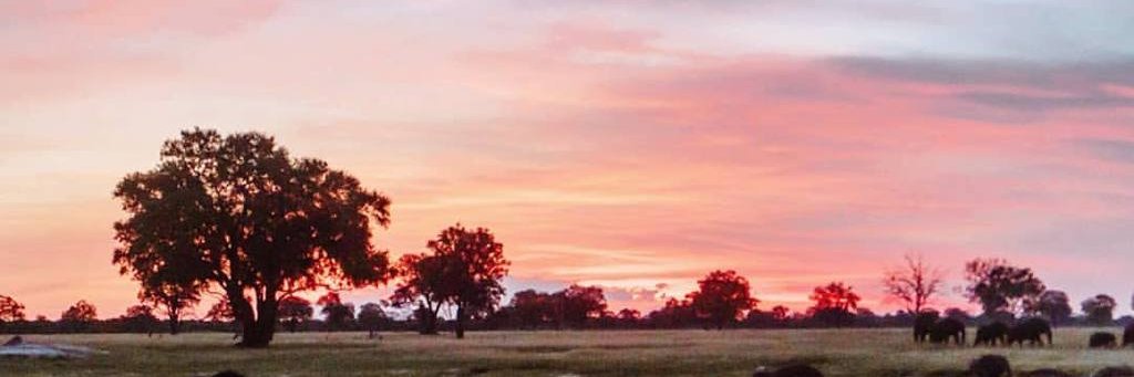 Anne896Smith's profile banner image