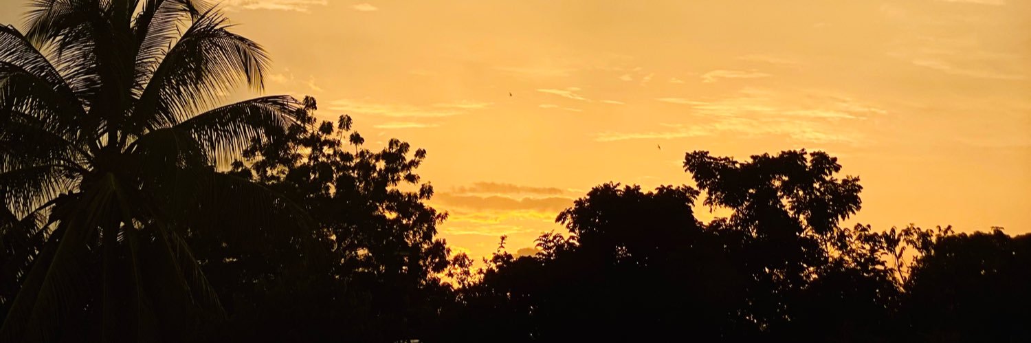 Mr__Xavier's profile banner image