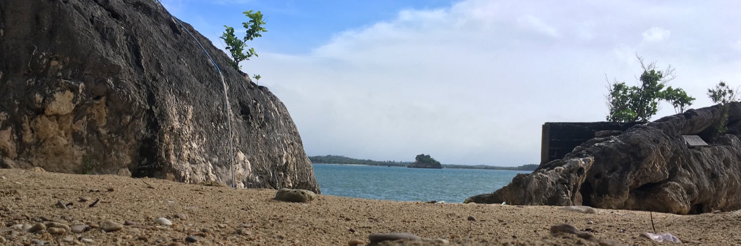 Jamie Anne banner