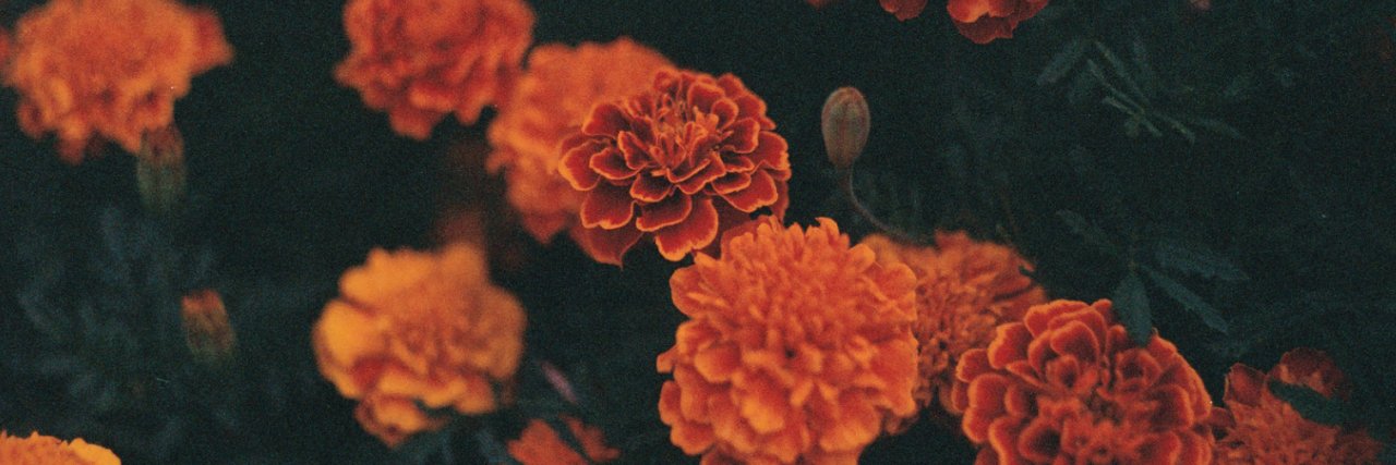 evacado21's profile banner image