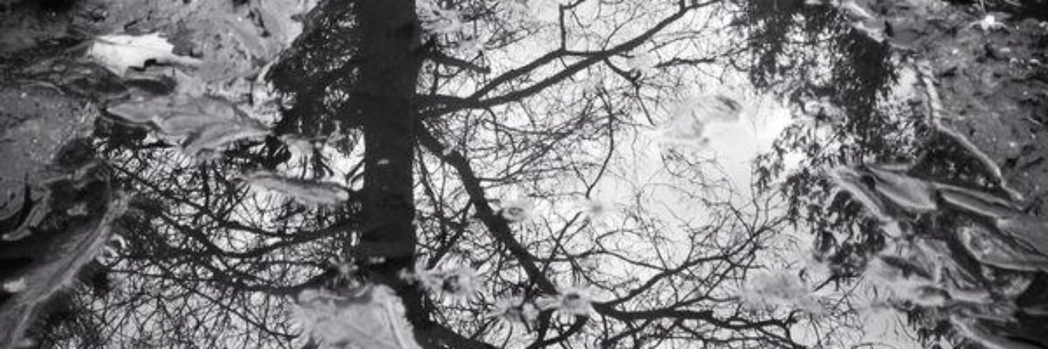 CamilaVDH's profile banner image