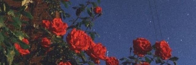 kayynics_'s profile banner image