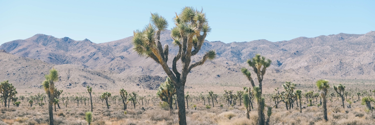 🌵 Post To Wire banner