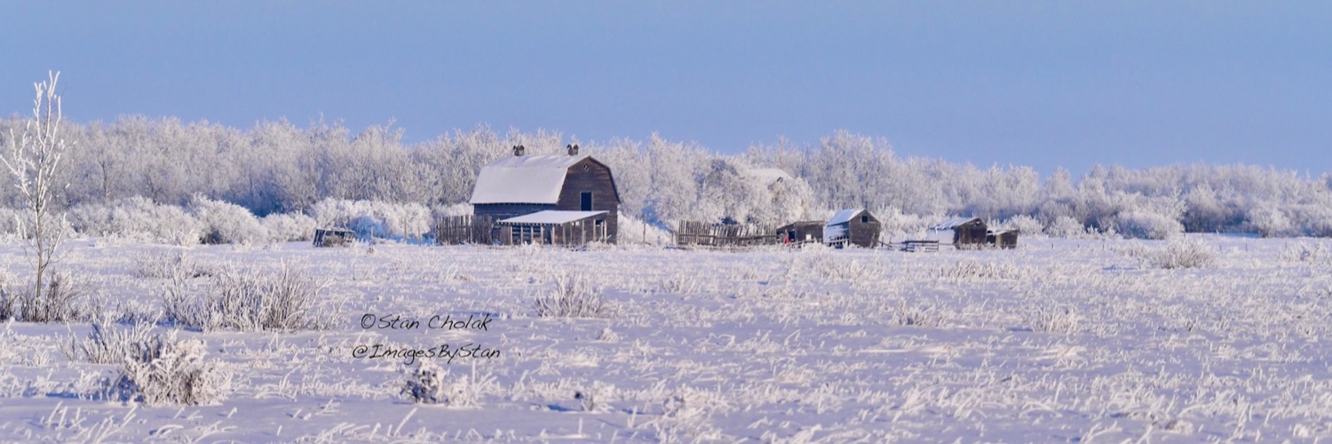 Images By Stan's banner