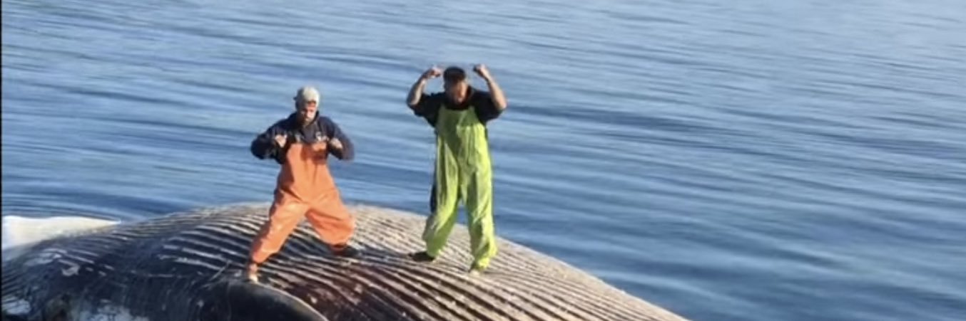 $eve Ballastatus banner