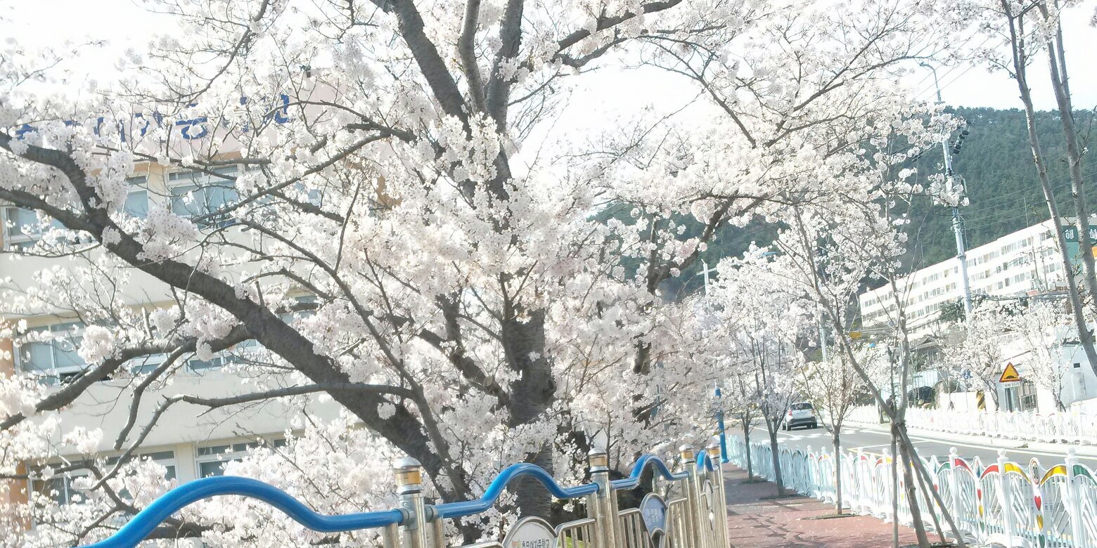 D_EAR_STAR's profile banner image