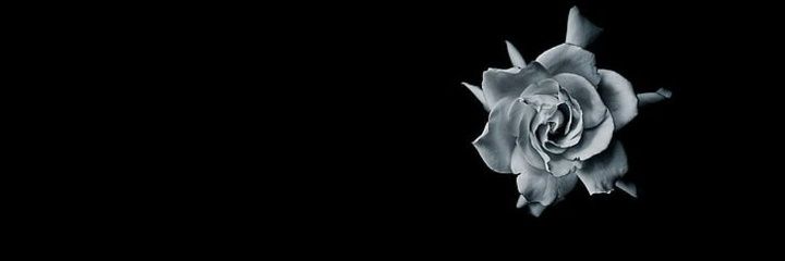 Al_vvb's profile banner image