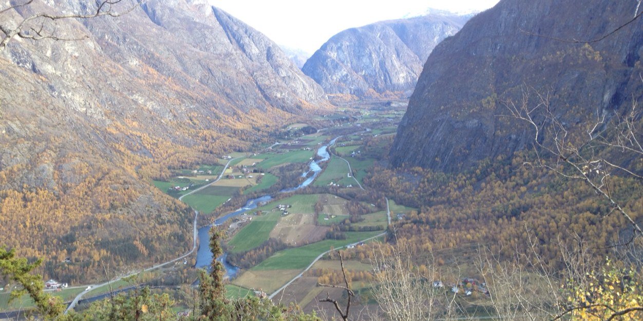 Liv Signe Navarsete banner