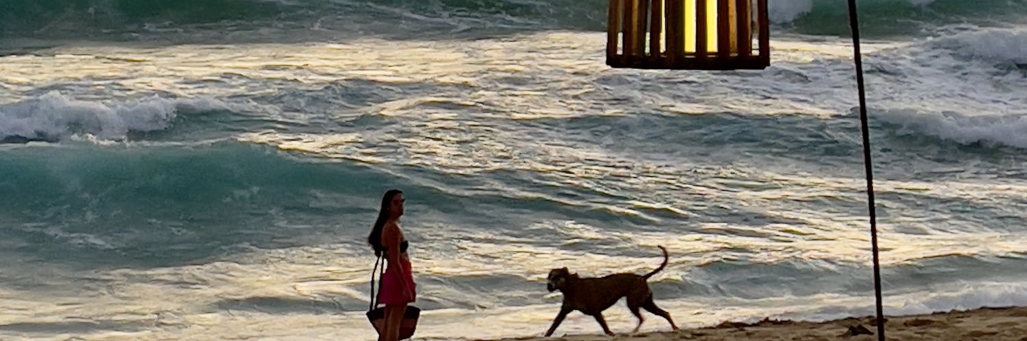 Grillo💛💙 banner