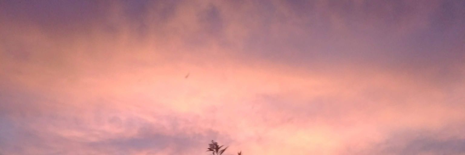 taratreadwell18's profile banner image