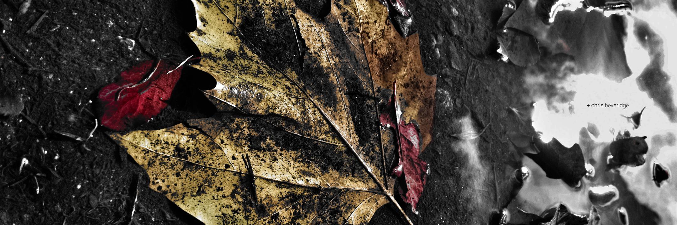 WeatherYYJ's profile banner image