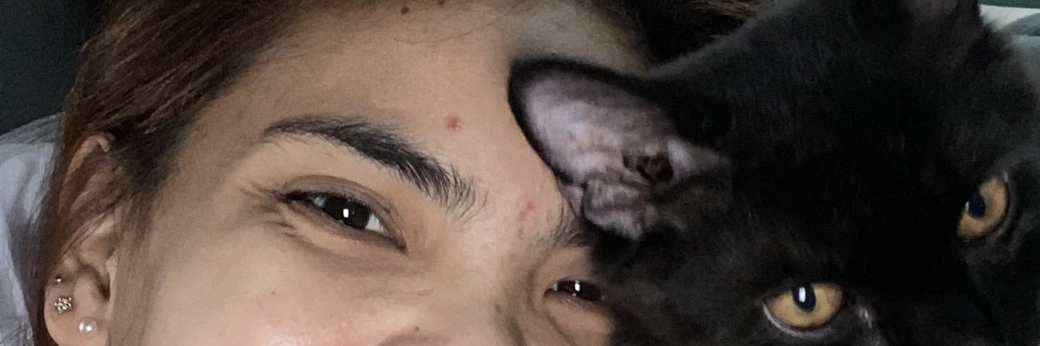 dani_dlsy's profile banner image